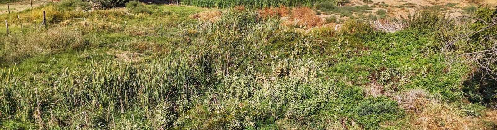 Beers Rd., Prosser, Washington 99350, 0 , 0 ,0,Land/lots,For Sale,Beers Rd.,0,287732