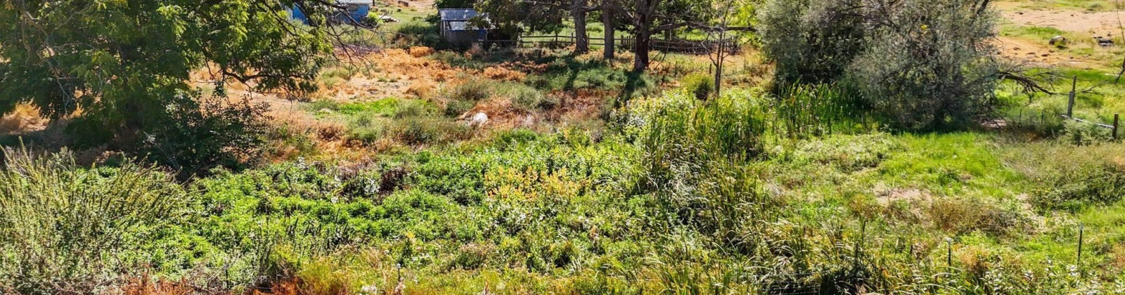 Beers Rd., Prosser, Washington 99350, 0 , 0 ,0,Land/lots,For Sale,Beers Rd.,0,287732