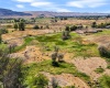 Beers Rd., Prosser, Washington 99350, 0 , 0 ,0,Land/lots,For Sale,Beers Rd.,0,287732