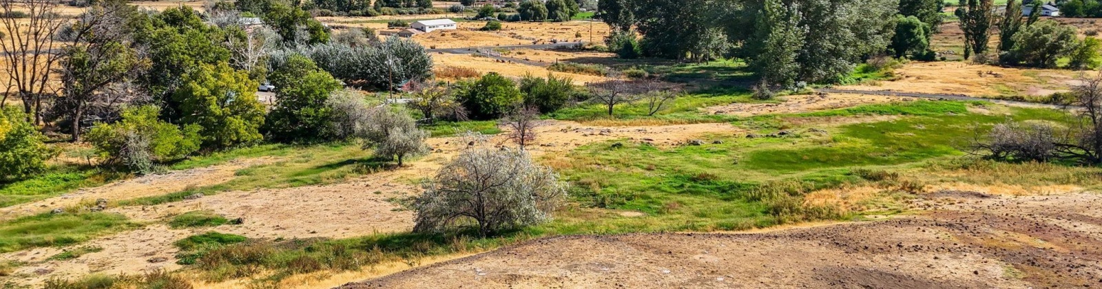 Beers Rd., Prosser, Washington 99350, 0 , 0 ,0,Land/lots,For Sale,Beers Rd.,0,287732