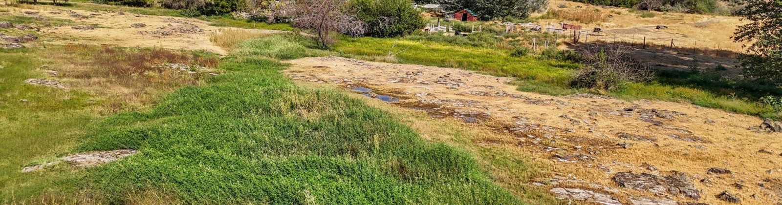 Beers Rd., Prosser, Washington 99350, 3 Bedrooms Bedrooms, 0 ,1 BathroomBathrooms,Houses,For Sale,Beers Rd.,0,287733