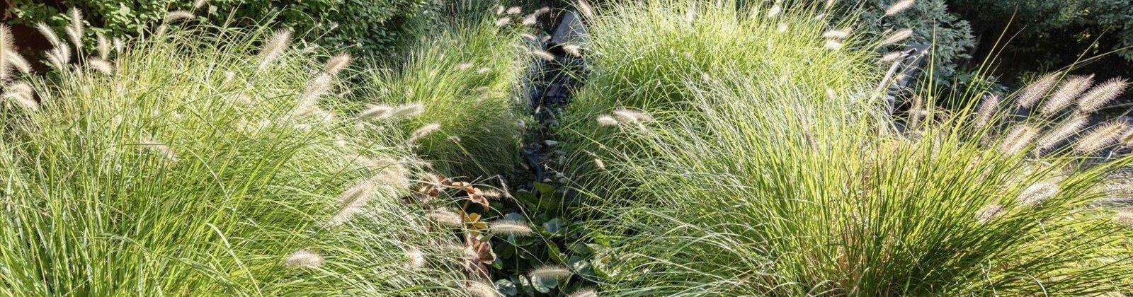 4th Place, Kennewick, Washington 99336, 4 Bedrooms Bedrooms, 0 ,3 BathroomsBathrooms,Houses,For Sale,4th Place,0,287725