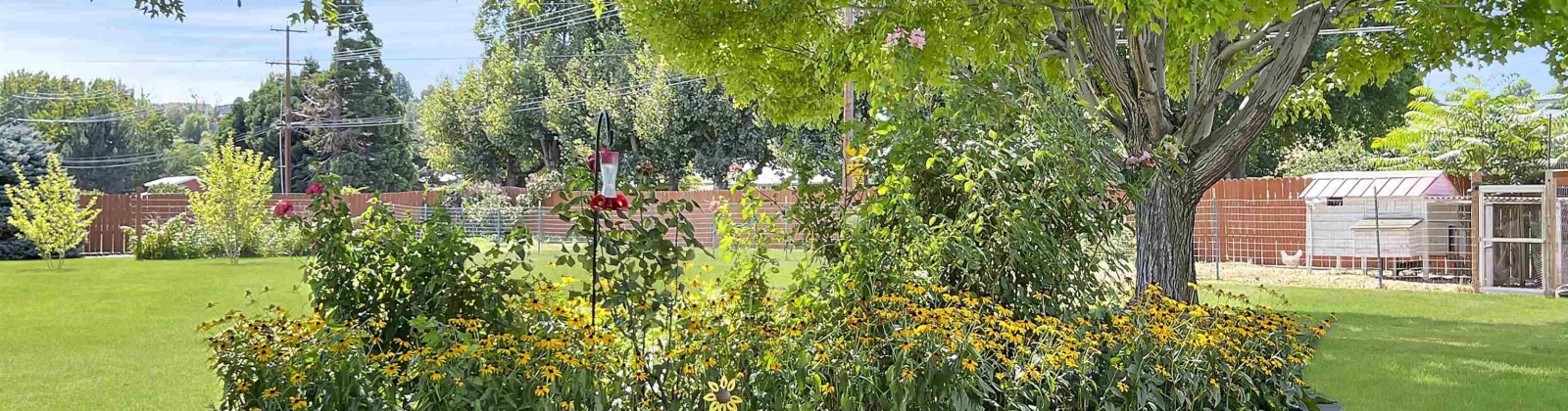 247th PR SE, Kennewick, Washington 99337, 3 Bedrooms Bedrooms, 0 ,3 BathroomsBathrooms,Houses,For Sale,247th PR SE,0,287727