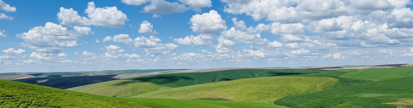 Long Hollow Road, Colfax, Washington 99111, 4 Bedrooms Bedrooms, 0 ,3 BathroomsBathrooms,For Sale,Long Hollow Road,0,287747