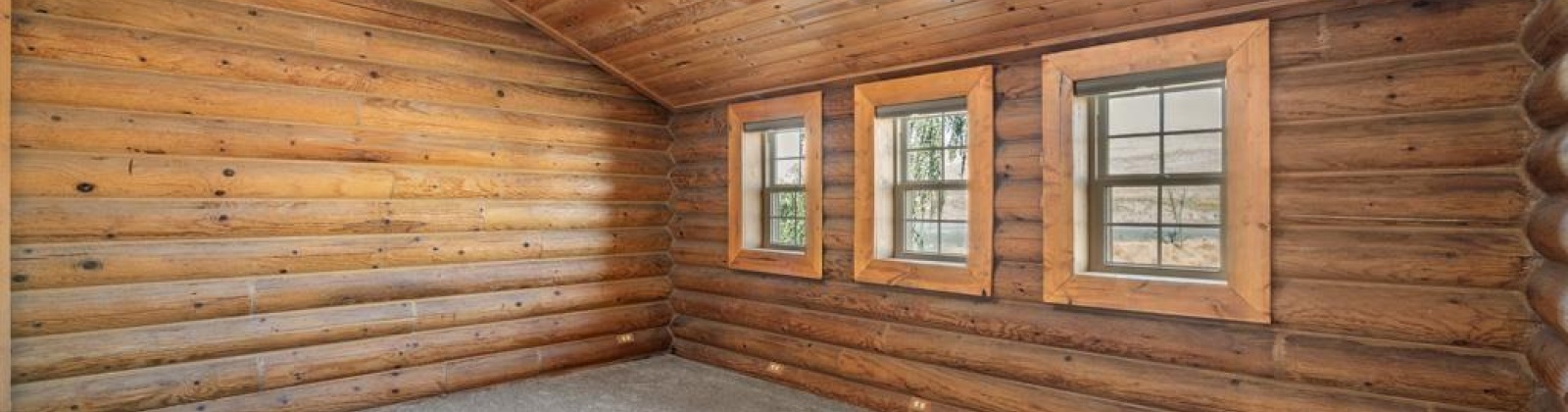 Long Hollow Road, Colfax, Washington 99111, 4 Bedrooms Bedrooms, 0 ,3 BathroomsBathrooms,For Sale,Long Hollow Road,0,287747