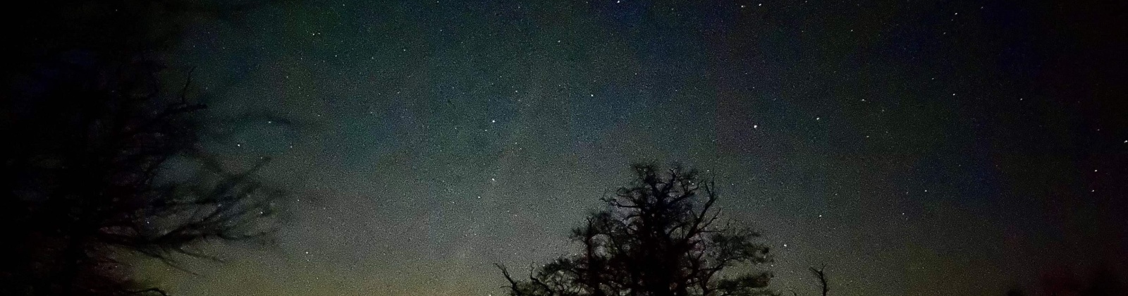 Long Hollow Road, Colfax, Washington 99111, 4 Bedrooms Bedrooms, 0 ,3 BathroomsBathrooms,For Sale,Long Hollow Road,0,287747