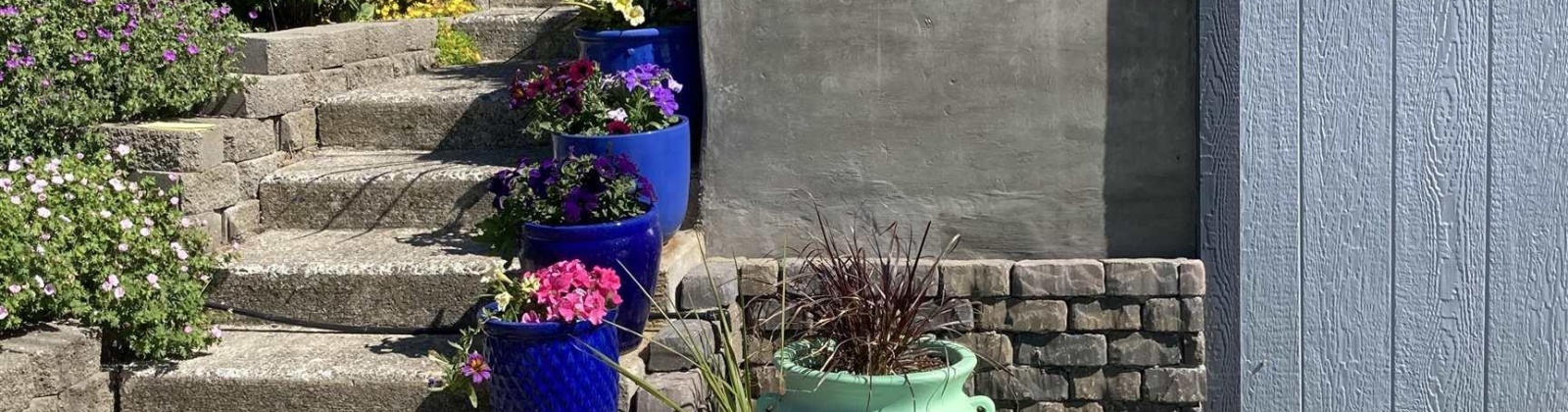 Shirley St, Pullman, Washington 99163, 4 Bedrooms Bedrooms, 0 ,3 BathroomsBathrooms,Houses,For Sale,Shirley St,0,287753