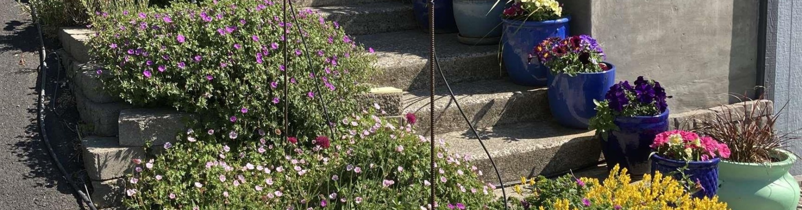 Shirley St, Pullman, Washington 99163, 4 Bedrooms Bedrooms, 0 ,3 BathroomsBathrooms,Houses,For Sale,Shirley St,0,287753