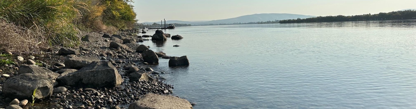 Fanning Rd, Pasco, Washington 99301, 0 , 0 ,0,Land/lots,For Sale,Fanning Rd,0,287782