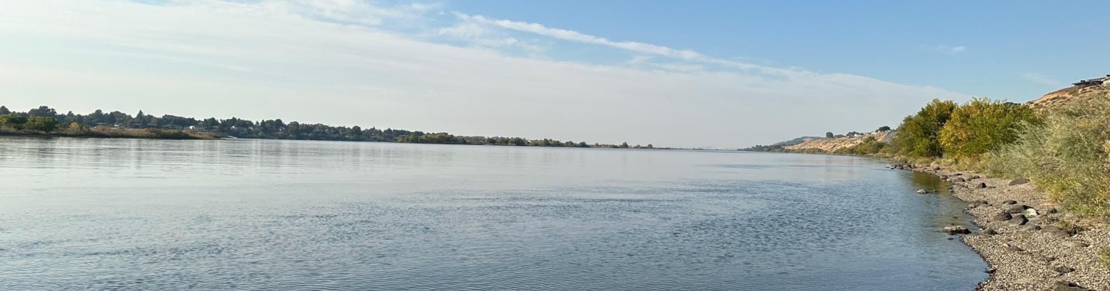 Fanning Rd, Pasco, Washington 99301, 0 , 0 ,0,Land/lots,For Sale,Fanning Rd,0,287782