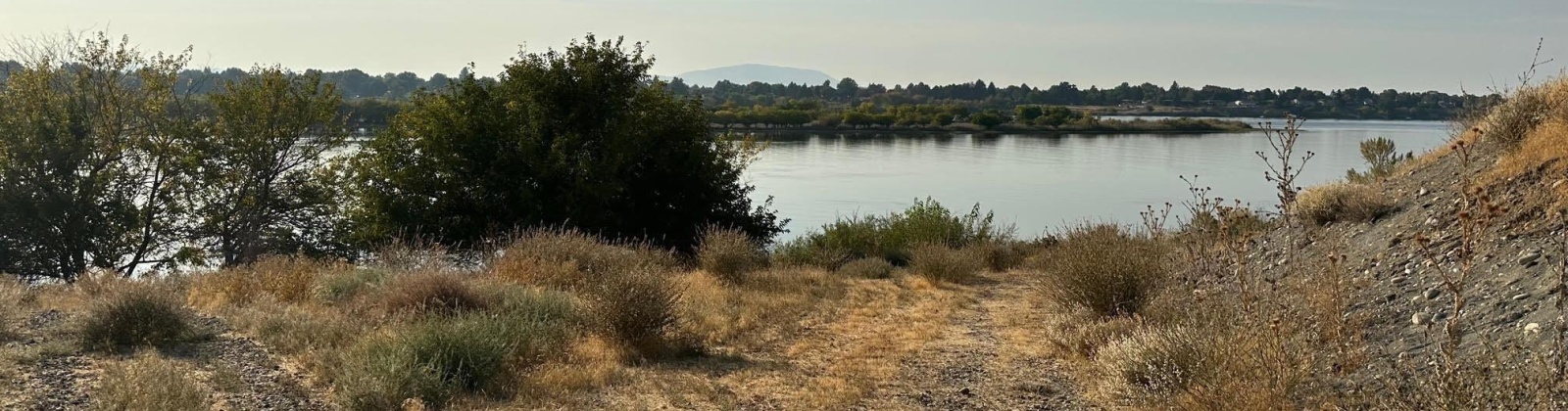 Fanning Rd, Pasco, Washington 99301, 0 , 0 ,0,Land/lots,For Sale,Fanning Rd,0,287782