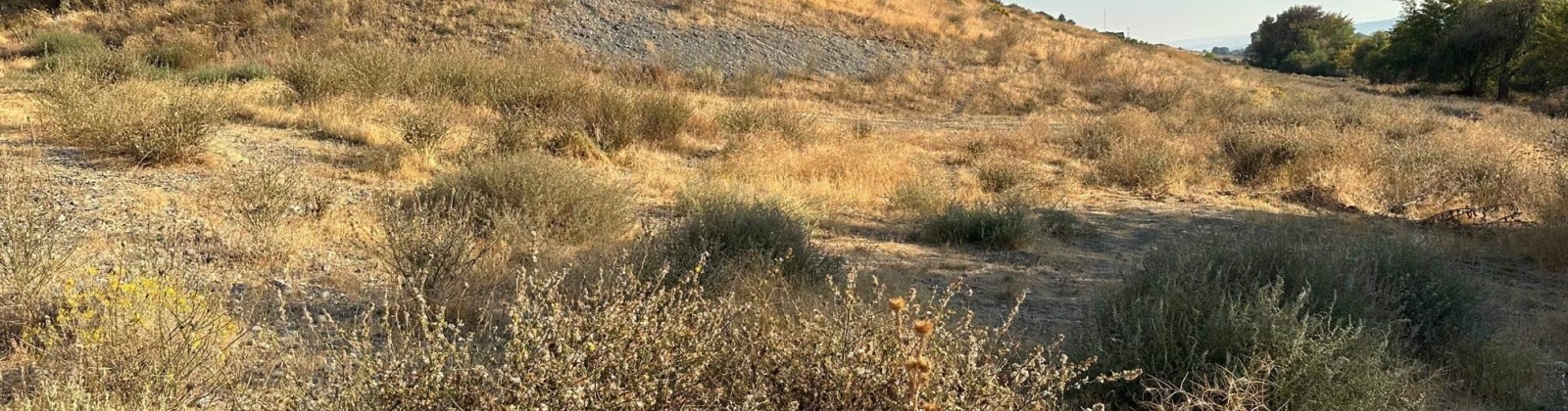 Fanning Rd, Pasco, Washington 99301, 0 , 0 ,0,Land/lots,For Sale,Fanning Rd,0,287782