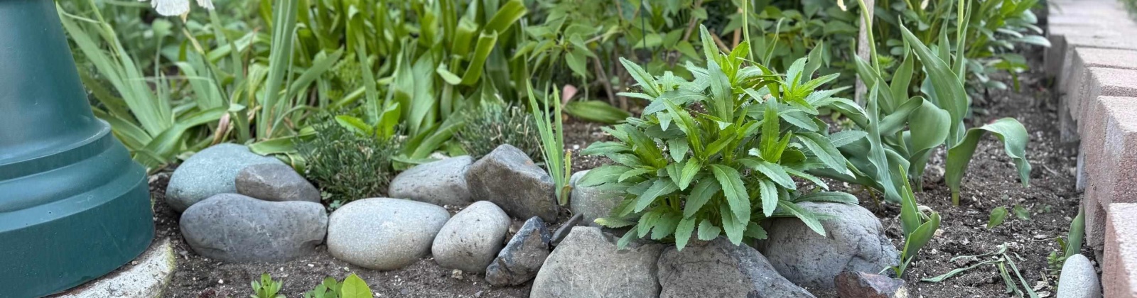 Mill #307, Colfax, Washington 99111, 2 Bedrooms Bedrooms, 0 ,1 BathroomBathrooms,Condos/townhomes,For Sale,Mill #307,0,287776