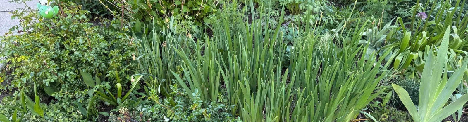 Mill #307, Colfax, Washington 99111, 2 Bedrooms Bedrooms, 0 ,1 BathroomBathrooms,Condos/townhomes,For Sale,Mill #307,0,287776