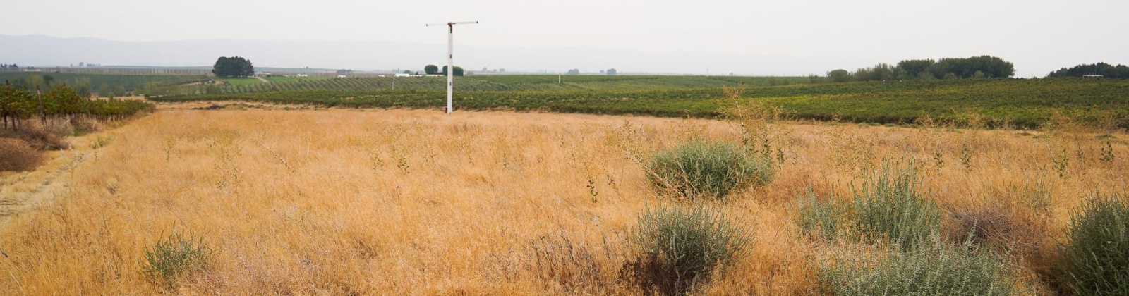 Hinzerling Rd., Prosser, Washington 99350, 0 , 0 ,0,Agricultural Land,For Sale,Hinzerling Rd.,0,287840