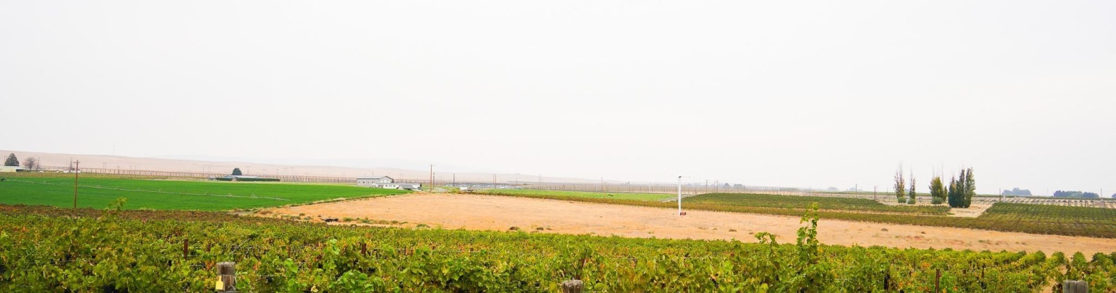 Hinzerling Rd., Prosser, Washington 99350, 0 , 0 ,0,Agricultural Land,For Sale,Hinzerling Rd.,0,287840