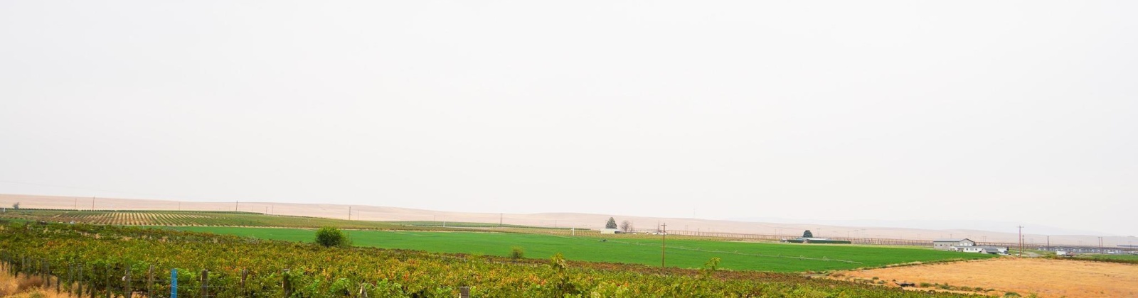 Hinzerling Rd., Prosser, Washington 99350, 0 , 0 ,0,Agricultural Land,For Sale,Hinzerling Rd.,0,287840