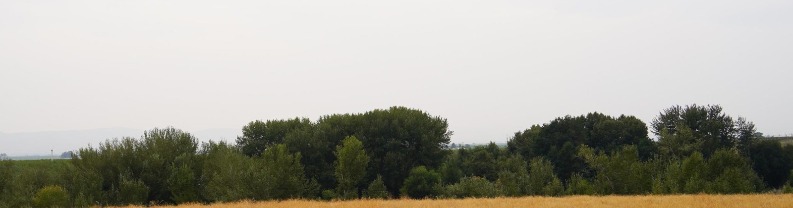 Hinzerling Rd., Prosser, Washington 99350, 0 , 0 ,0,Agricultural Land,For Sale,Hinzerling Rd.,0,287840