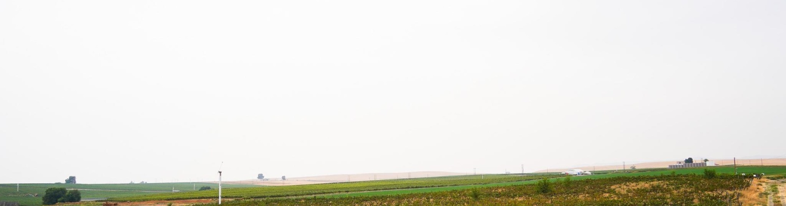 Hinzerling Rd., Prosser, Washington 99350, 0 , 0 ,0,Agricultural Land,For Sale,Hinzerling Rd.,0,287840