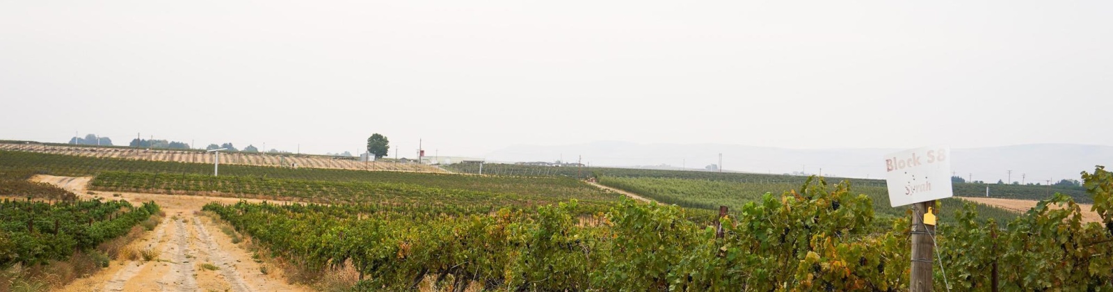 Hinzerling Rd., Prosser, Washington 99350, 0 , 0 ,0,Agricultural Land,For Sale,Hinzerling Rd.,0,287840