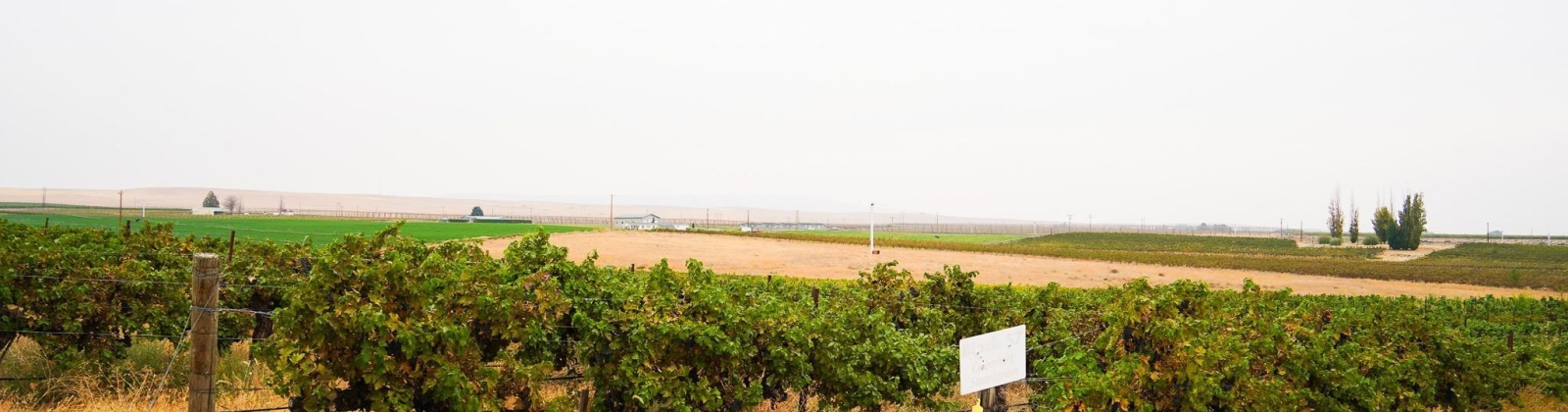 Hinzerling Rd., Prosser, Washington 99350, 0 , 0 ,0,Agricultural Land,For Sale,Hinzerling Rd.,0,287840