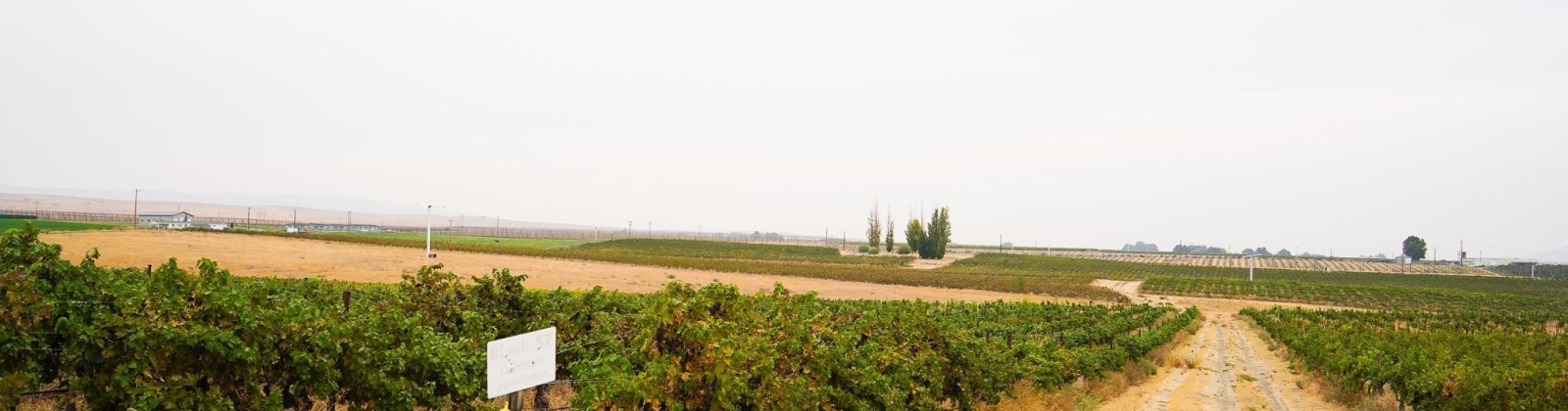 Hinzerling Rd., Prosser, Washington 99350, 0 , 0 ,0,Agricultural Land,For Sale,Hinzerling Rd.,0,287840