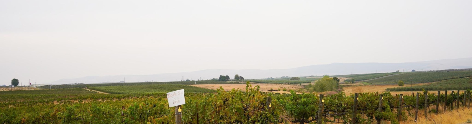 Hinzerling Rd., Prosser, Washington 99350, 0 , 0 ,0,Agricultural Land,For Sale,Hinzerling Rd.,0,287840