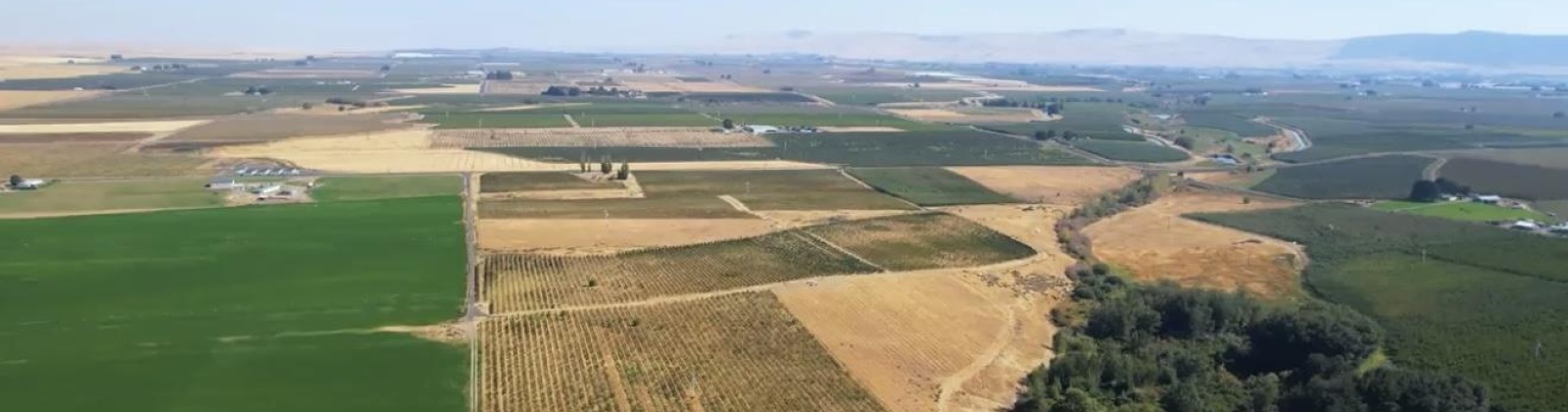 Hinzerling Rd., Prosser, Washington 99350, 0 , 0 ,0,Agricultural Land,For Sale,Hinzerling Rd.,0,287840