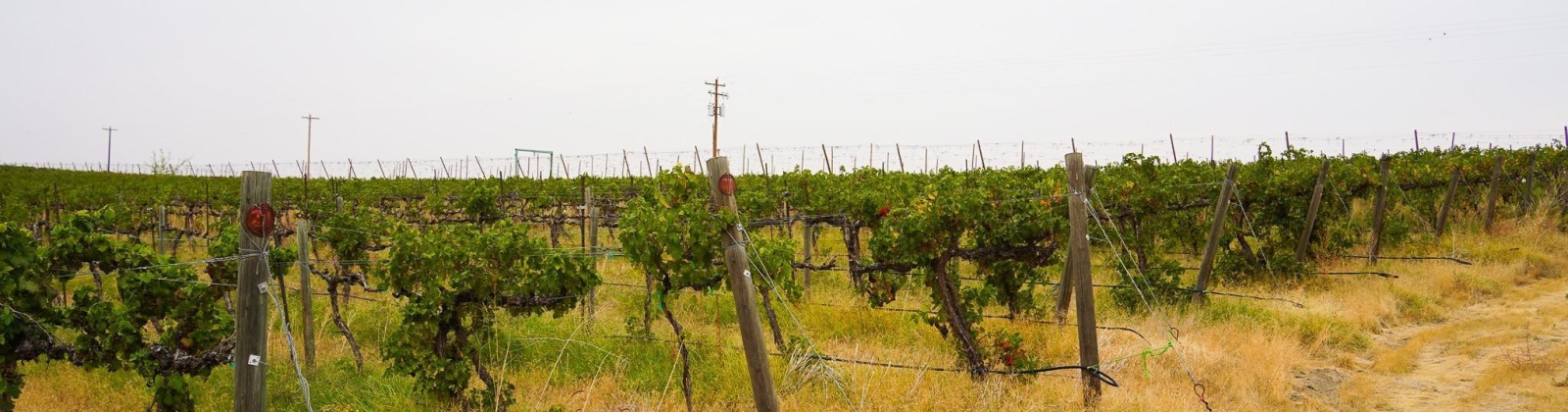 Hinzerling Rd., Prosser, Washington 99350, 0 , 0 ,0,Agricultural Land,For Sale,Hinzerling Rd.,0,287840