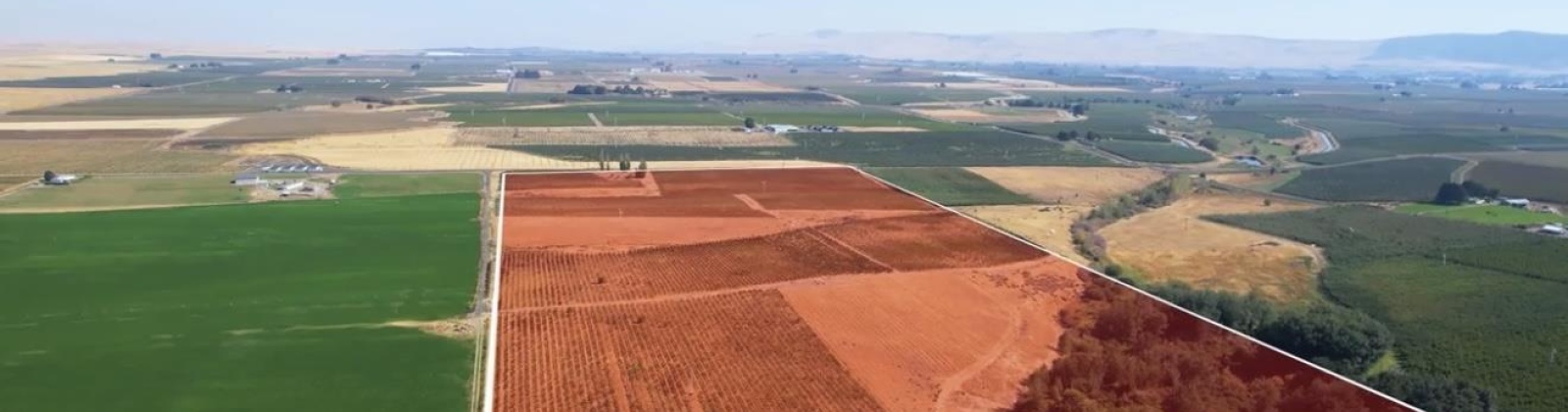 Hinzerling Rd., Prosser, Washington 99350, 0 , 0 ,0,Agricultural Land,For Sale,Hinzerling Rd.,0,287840
