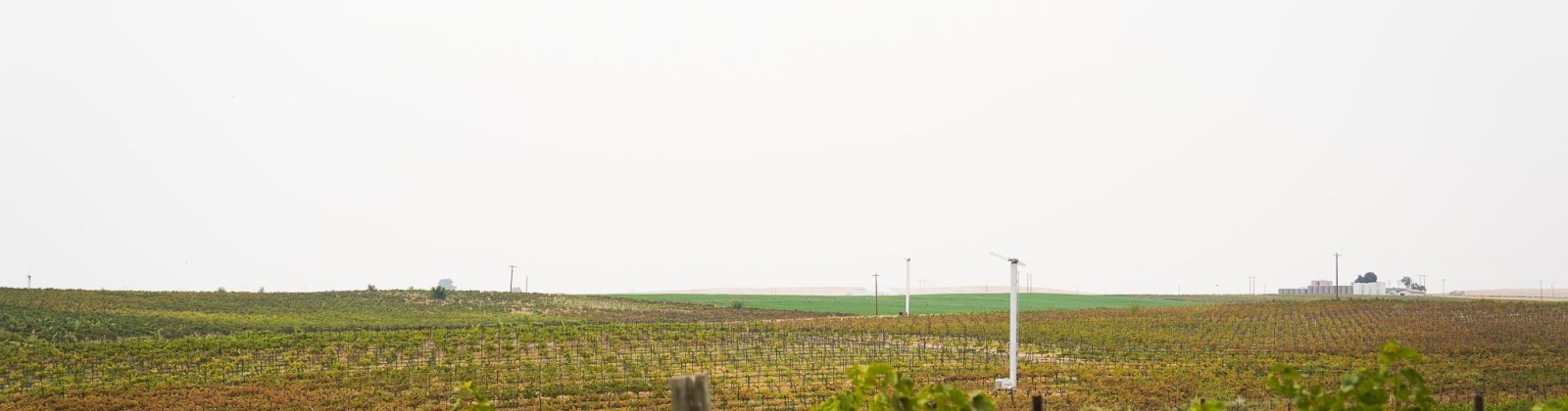 Hinzerling Rd., Prosser, Washington 99350, 0 , 0 ,0,Agricultural Land,For Sale,Hinzerling Rd.,0,287840