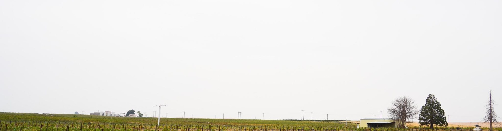 Hinzerling Rd., Prosser, Washington 99350, 0 , 0 ,0,Agricultural Land,For Sale,Hinzerling Rd.,0,287840