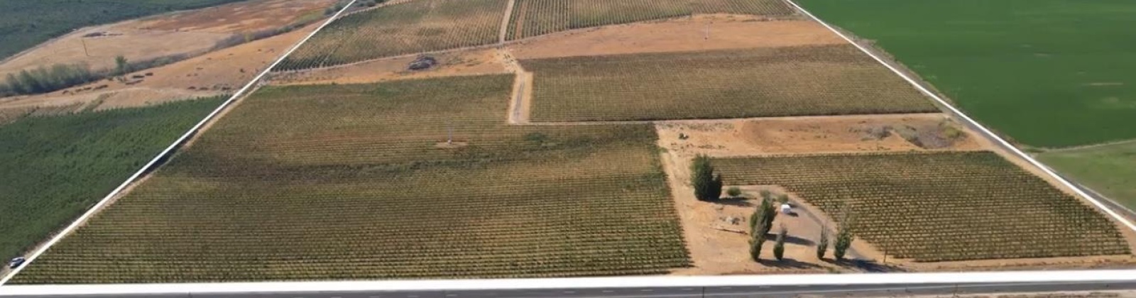 Hinzerling Rd., Prosser, Washington 99350, 0 , 0 ,0,Agricultural Land,For Sale,Hinzerling Rd.,0,287840