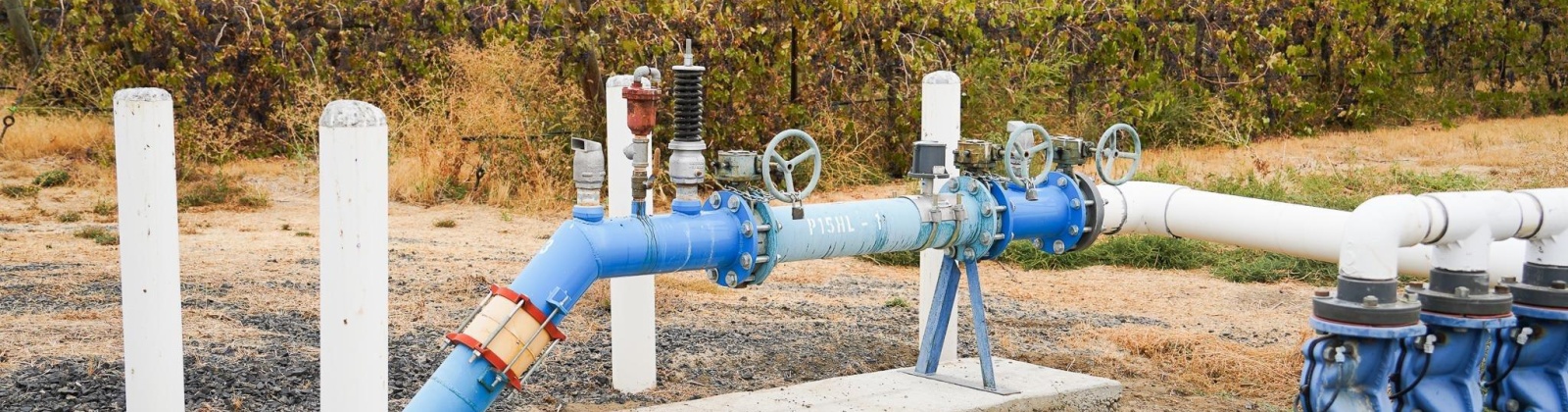 Hinzerling Rd., Prosser, Washington 99350, 0 , 0 ,0,Agricultural Land,For Sale,Hinzerling Rd.,0,287845