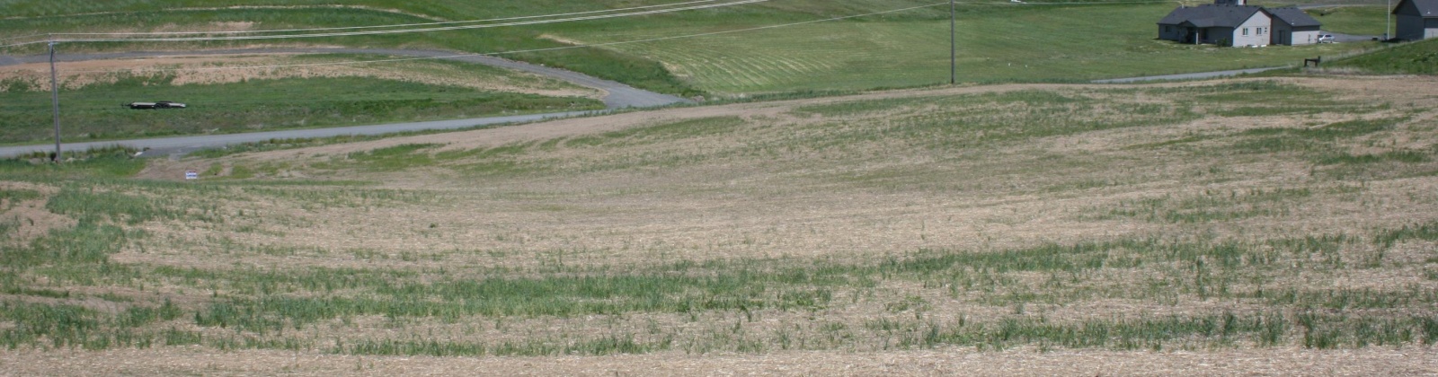 Orville Boyd Road, Pullman, Washington 99163, 0 , 0 ,0,Land/lots,For Sale,Orville Boyd Road,0,284549