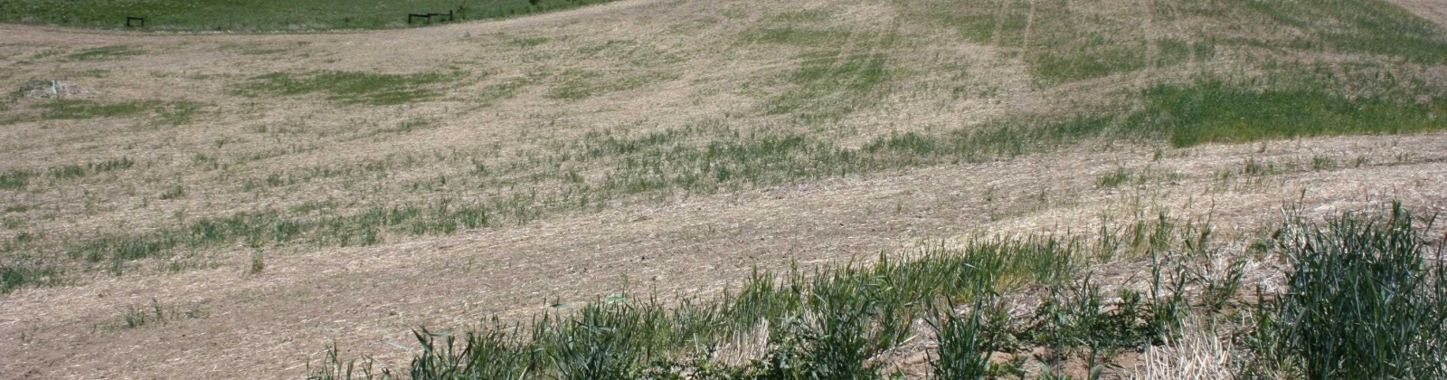 Orville Boyd Road, Pullman, Washington 99163, 0 , 0 ,0,Land/lots,For Sale,Orville Boyd Road,0,284549