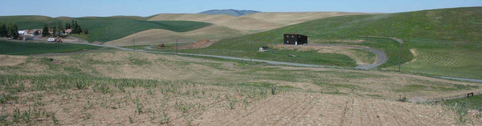 Orville Boyd Road, Pullman, Washington 99163, 0 , 0 ,0,Land/lots,For Sale,Orville Boyd Road,0,284549