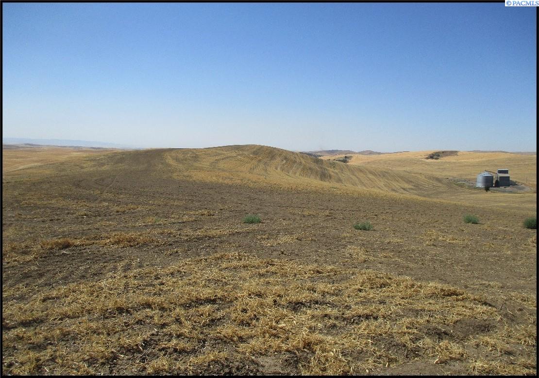 McKay Alto Road, Dayton, Washington, 0 , 0 ,0,Agricultural Land,For Sale,McKay Alto Road,0,287871