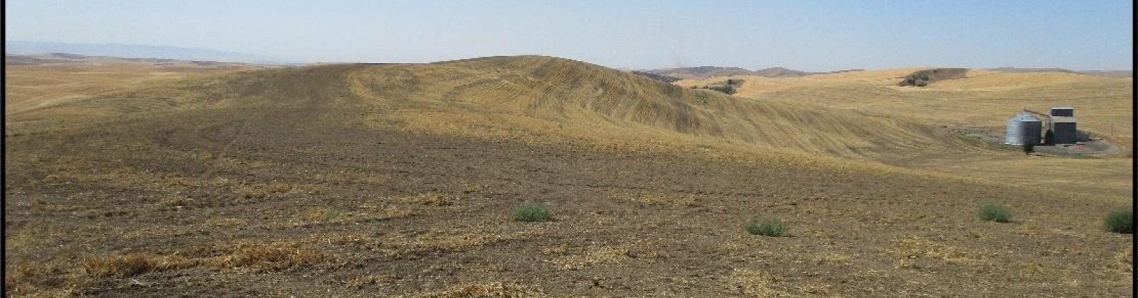 McKay Alto Road, Dayton, Washington, 0 , 0 ,0,Agricultural Land,For Sale,McKay Alto Road,0,287871