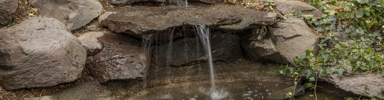 Cherry Ave, Sunnyside, Washington 98944, 3 Bedrooms Bedrooms, 0 ,3 BathroomsBathrooms,Houses,For Sale,Cherry Ave,0,287908