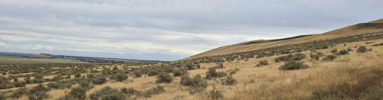 N. Foxhill Drive (94.16 acres), Benton City, Washington 99320, 0 , 0 ,0,Land/lots,For Sale,N. Foxhill Drive (94.16 acres),0,287935