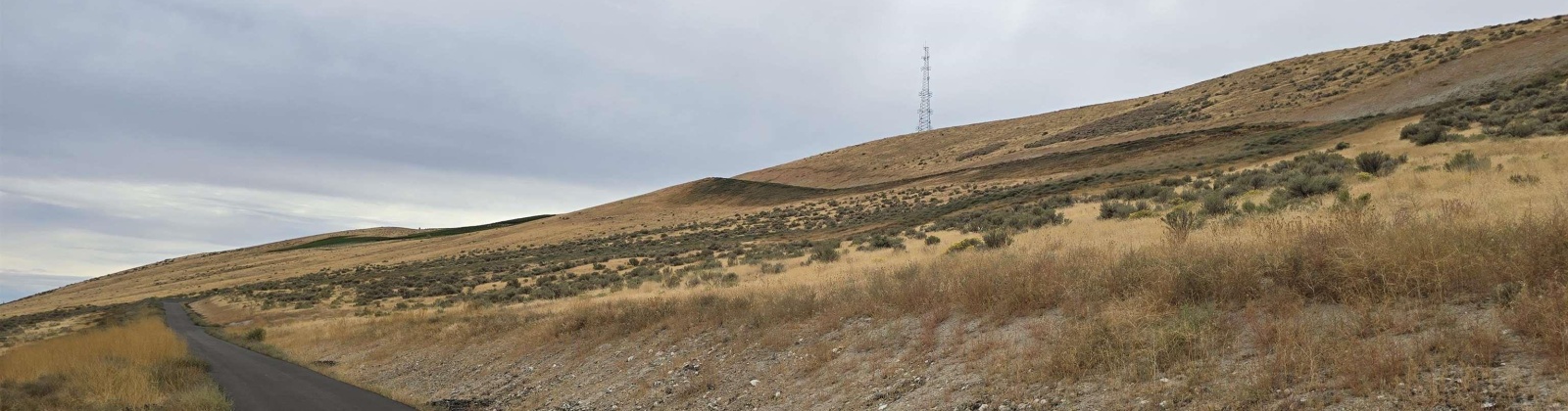 N. Foxhill Drive (94.16 acres), Benton City, Washington 99320, 0 , 0 ,0,Land/lots,For Sale,N. Foxhill Drive (94.16 acres),0,287935