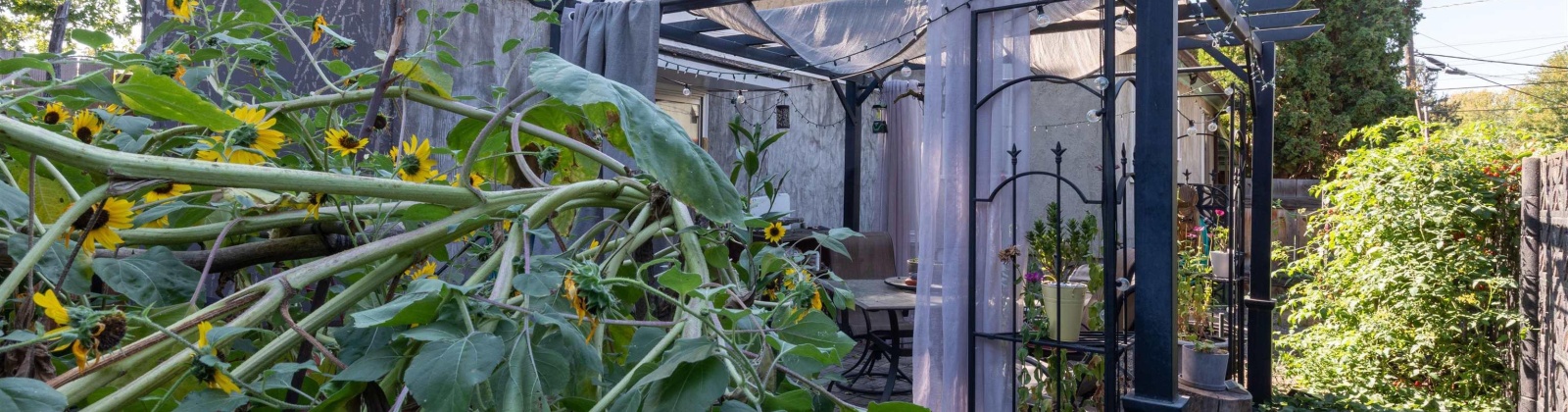 Alvarado Terrace, Walla Walla, Washington 99362, 3 Bedrooms Bedrooms, 0 ,2 BathroomsBathrooms,Houses,For Sale,Alvarado Terrace,0,287950