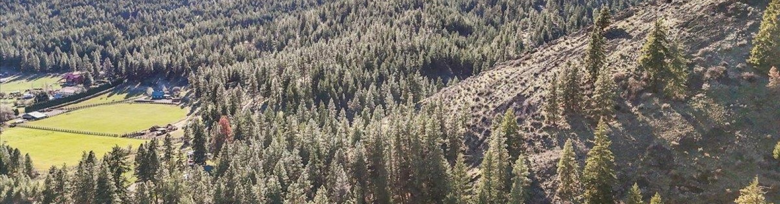 Nile Road, Naches, Washington 98937, 4 Bedrooms Bedrooms, 0 ,2 BathroomsBathrooms,For Sale,Nile Road,0,287959