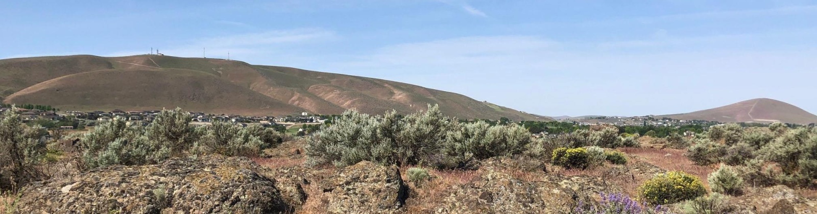 Sunhaven Place, Richland, Washington 99352, 0 , 0 ,0,Land/lots,For Sale,Sunhaven Place,0,287970