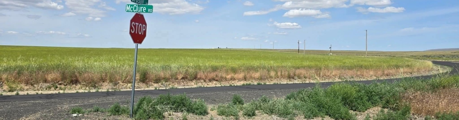 Crosby Rd, Prosser, Washington 99350, 0 , 0 ,0,Agricultural Land,For Sale,Crosby Rd,0,287992