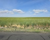 Crosby Rd, Prosser, Washington 99350, 0 , 0 ,0,Agricultural Land,For Sale,Crosby Rd,0,287992