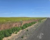 Crosby Rd, Prosser, Washington 99350, 0 , 0 ,0,Agricultural Land,For Sale,Crosby Rd,0,287992