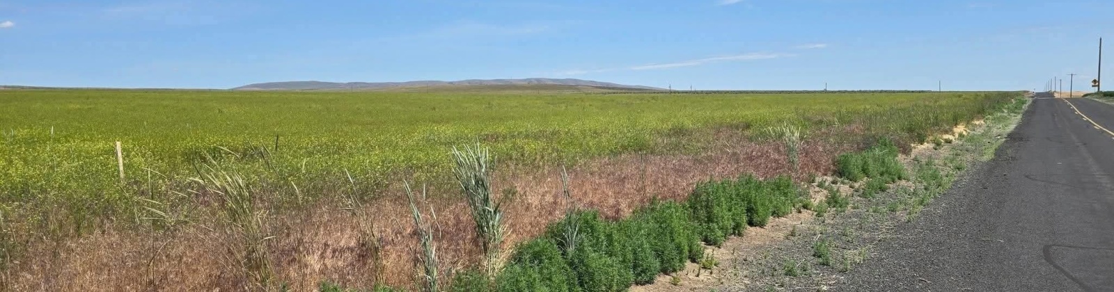 Crosby Rd, Prosser, Washington 99350, 0 , 0 ,0,Agricultural Land,For Sale,Crosby Rd,0,287992