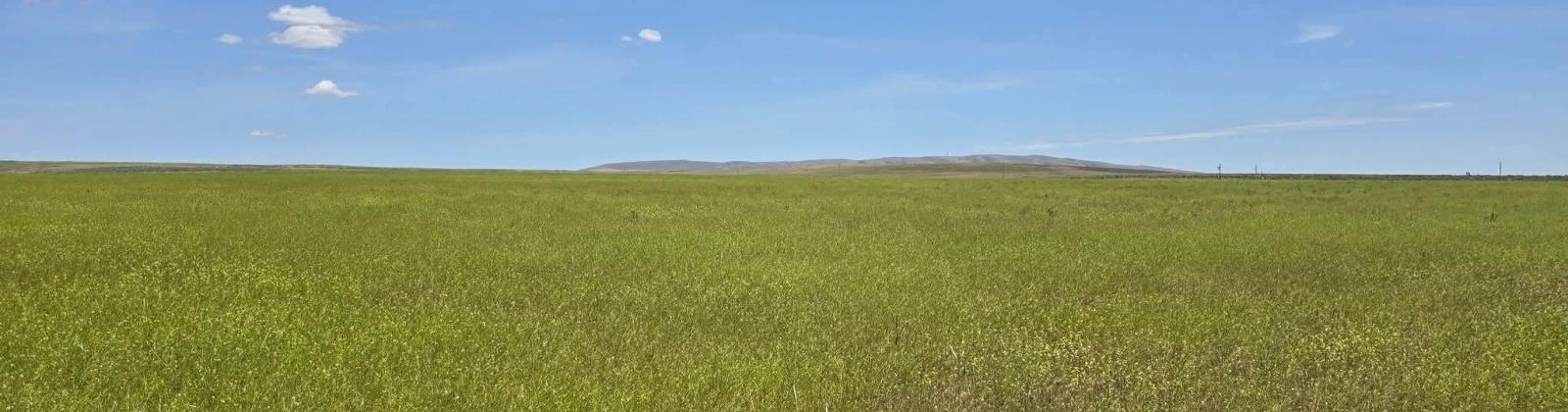 Crosby Rd, Prosser, Washington 99350, 0 , 0 ,0,Agricultural Land,For Sale,Crosby Rd,0,287992